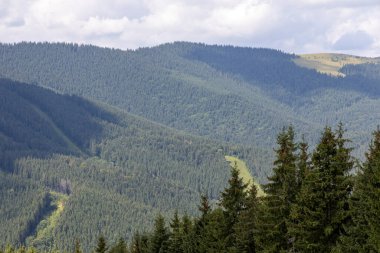 Güneşli bir yaz gününde Ukrayna Karpatları 'nda dağ panoraması.