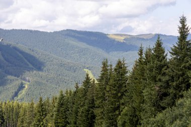 Güneşli bir yaz gününde Ukrayna Karpatları 'nda dağ panoraması.