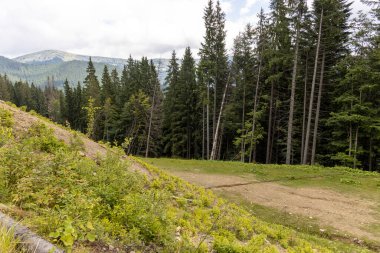 Güneşli bir yaz gününde Ukrayna Karpatları 'nda dağ panoraması.