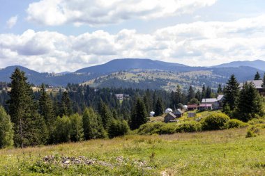 Bir yaz günü Ukrayna Karpatları 'nda dağ panoraması.