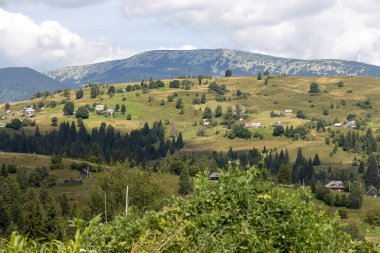 Bir yaz günü Ukrayna Karpatları 'nda dağ panoraması.
