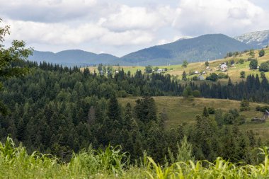 Bir yaz günü Ukrayna Karpatları 'nda dağ panoraması.