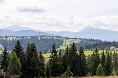 Bir yaz günü Ukrayna Karpatları 'nda dağ panoraması.