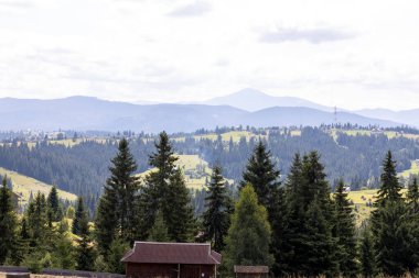 Dağlık Karpatlar 'da bir yerleşim yerindeki binalar.