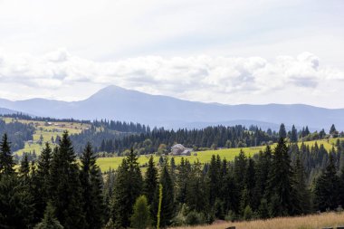 Bir yaz günü Ukrayna Karpatları 'nda dağ panoraması.