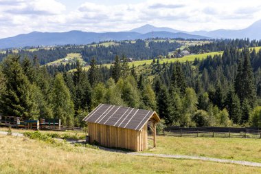 Dağlık Karpatlar 'da bir yerleşim yerindeki binalar.