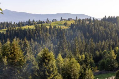 Bir yaz günü Ukrayna Karpatları 'nda dağ panoraması.