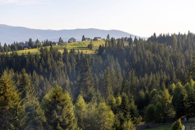 Bir yaz günü Ukrayna Karpatları 'nda dağ panoraması.