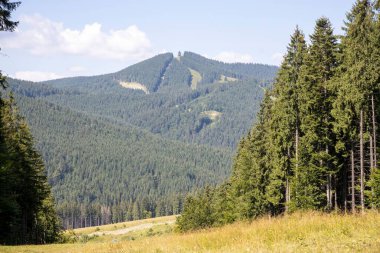 Bir yaz günü Ukrayna Karpatları 'nda dağ panoraması.
