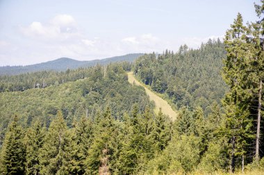 Bir yaz günü Ukrayna Karpatları 'nda dağ panoraması.