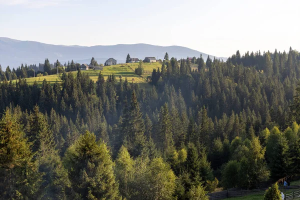 Bir yaz günü Ukrayna Karpatları 'nda dağ panoraması.