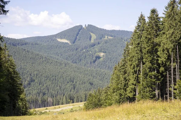 Bir yaz günü Ukrayna Karpatları 'nda dağ panoraması.