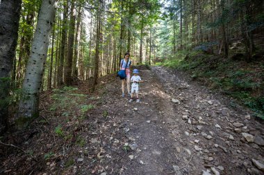 Ukrayna Karpatlarının Dağ Ormanı.