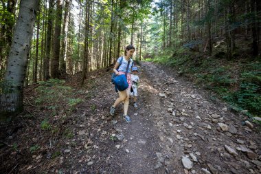 Ukrayna Karpatlarının Dağ Ormanı.