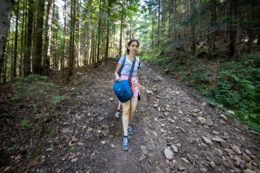 Ukrayna Karpatlarının Dağ Ormanı.