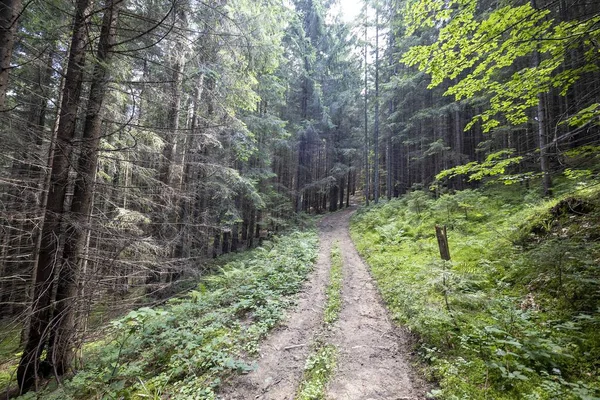 Bir yaz günü Ukrayna Karpatları 'nda toprak dağ yolu.