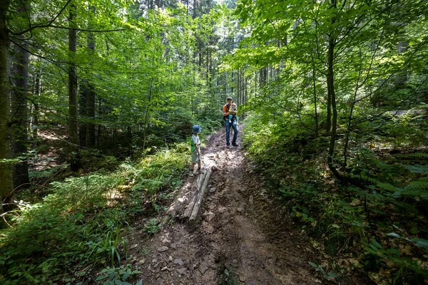 Ukrayna Karpatlarının Dağ Ormanı.