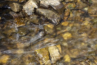 Ukrayna Karpatları 'nda bir yaz gününde dağ deresi