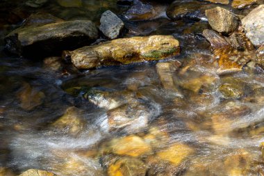Ukrayna Karpatları 'nda bir yaz gününde dağ deresi