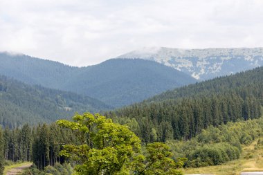 Bir yaz günü Ukrayna Karpatları 'nda dağ panoraması.