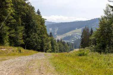 Bir yaz günü Ukrayna Karpatları 'nda toprak dağ yolu.