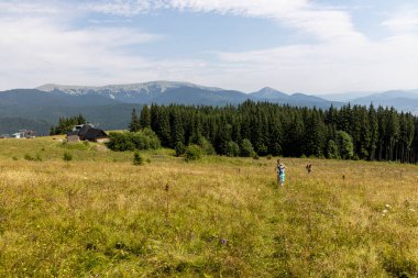 Bir yaz günü Ukrayna Karpatları 'nda dağ panoraması.