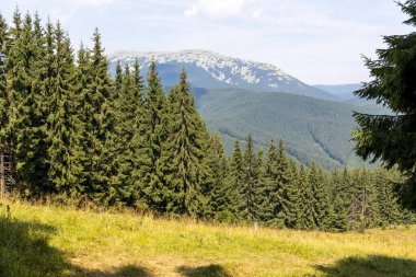 Bir yaz günü Ukrayna Karpatları 'nda dağ panoraması.