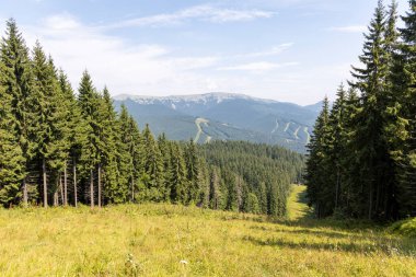 Bir yaz günü Ukrayna Karpatları 'nda dağ panoraması.