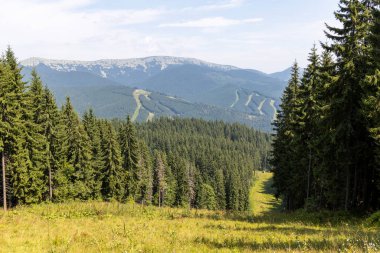 Bir yaz günü Ukrayna Karpatları 'nda dağ panoraması.