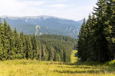 Bir yaz günü Ukrayna Karpatları 'nda dağ panoraması.