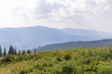 Bir yaz günü Ukrayna Karpatları 'nda dağ panoraması.