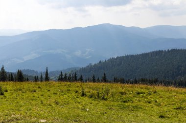 Bir yaz günü Ukrayna Karpatları 'nda dağ panoraması.