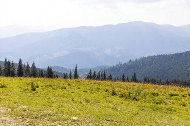 Bir yaz günü Ukrayna Karpatları 'nda dağ panoraması.