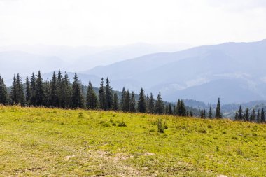 Bir yaz günü Ukrayna Karpatları 'nda dağ panoraması.