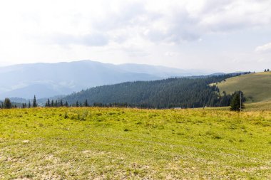 Bir yaz günü Ukrayna Karpatları 'nda dağ panoraması.
