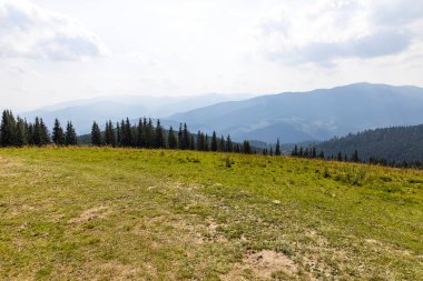 Bir yaz günü Ukrayna Karpatları 'nda dağ panoraması.
