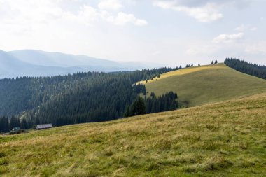 Bir yaz günü Ukrayna Karpatları 'nda dağ panoraması.