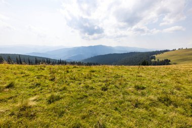 Bir yaz günü Ukrayna Karpatları 'nda dağ panoraması.