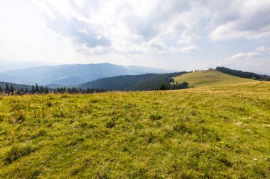 Bir yaz günü Ukrayna Karpatları 'nda dağ panoraması.