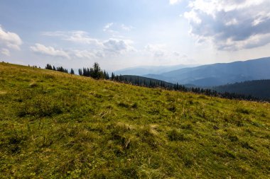 Bir yaz günü Ukrayna Karpatları 'nda dağ panoraması.