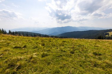 Bir yaz günü Ukrayna Karpatları 'nda dağ panoraması.