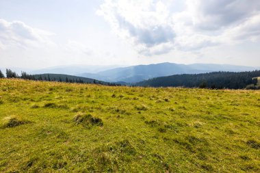 Bir yaz günü Ukrayna Karpatları 'nda dağ panoraması.