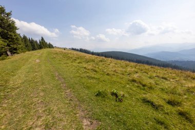 Bir yaz günü Ukrayna Karpatları 'nda toprak dağ yolu.