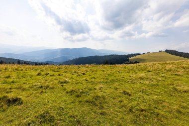 Bir yaz günü Ukrayna Karpatları 'nda dağ panoraması.