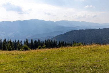Bir yaz günü Ukrayna Karpatları 'nda dağ panoraması.