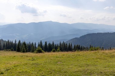 Bir yaz günü Ukrayna Karpatları 'nda dağ panoraması.