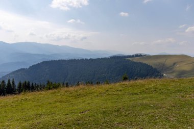 Bir yaz günü Ukrayna Karpatları 'nda dağ panoraması.