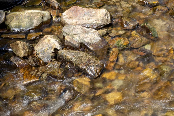 Fluxo Montanha Dia Verão Nos Cárpatos Ucranianos — Fotografia de Stock