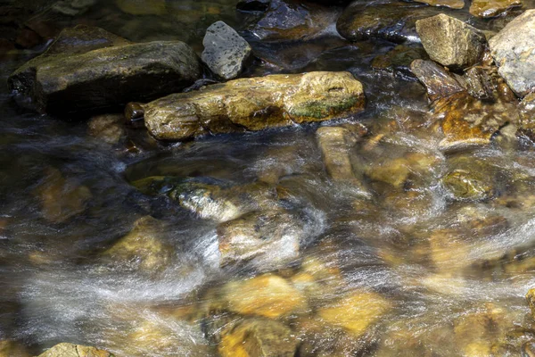 Ukrayna Karpatları 'nda bir yaz gününde dağ deresi