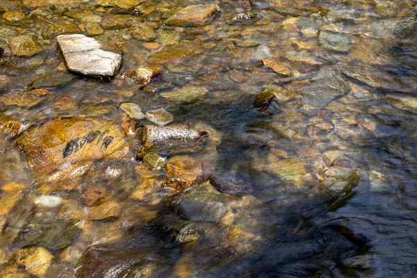 Ukrayna Karpatları 'nda bir yaz gününde dağ deresi